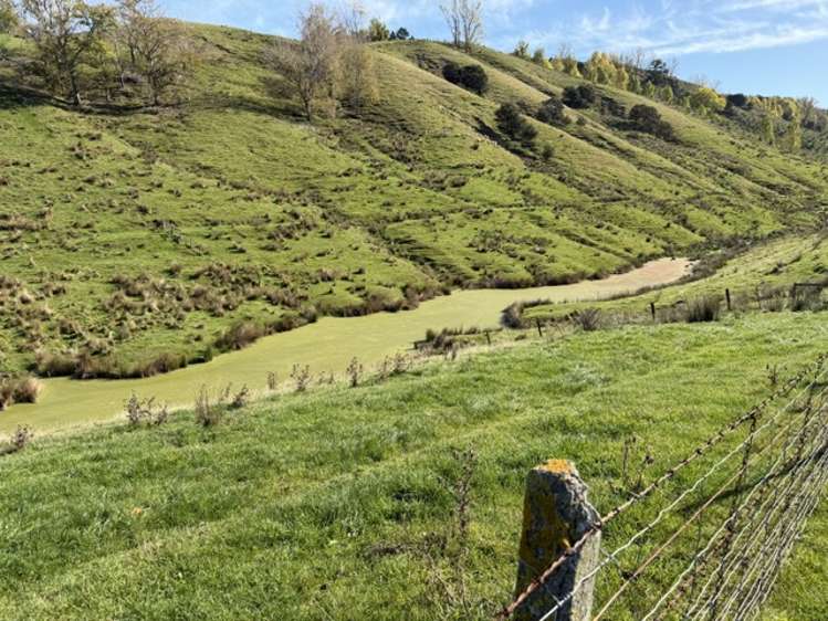 235 Te Ore Ore-Bideford Road Masterton_5