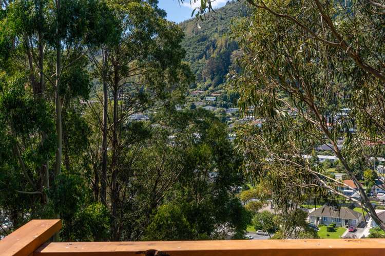 49 Thompson Terrace Toi Toi_13