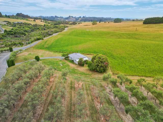 151 Horton Road Tasman_1