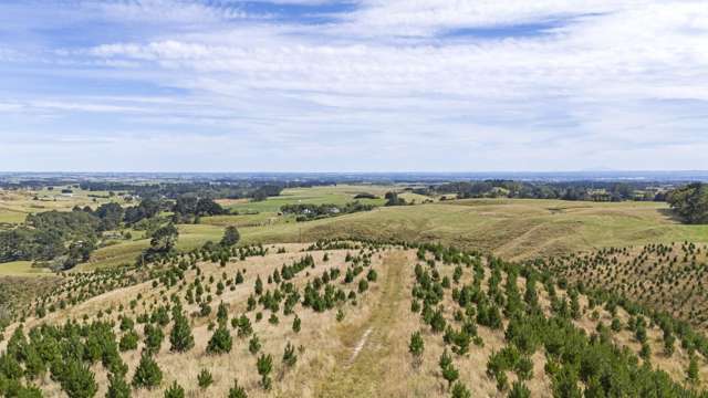 479 Kahuterawa Road Linton_2