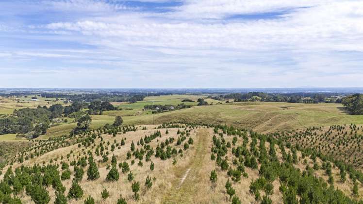 479 Kahuterawa Road Linton_2