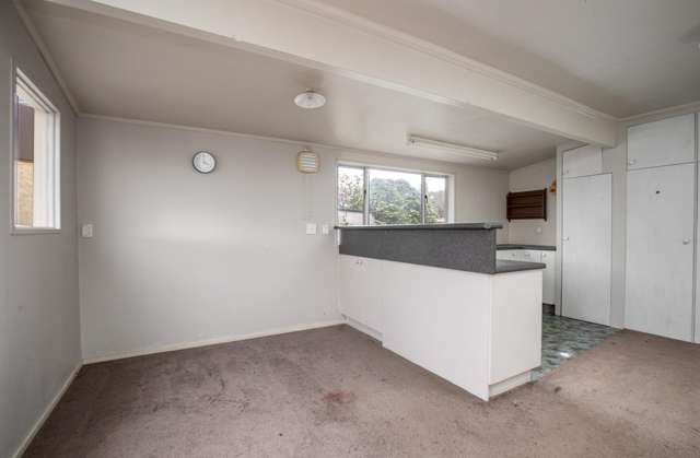 24 Domain Road Ettrick_4