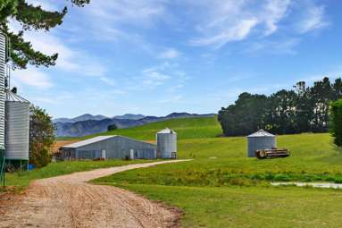 594 Tokarahi-Ngapara Road_2