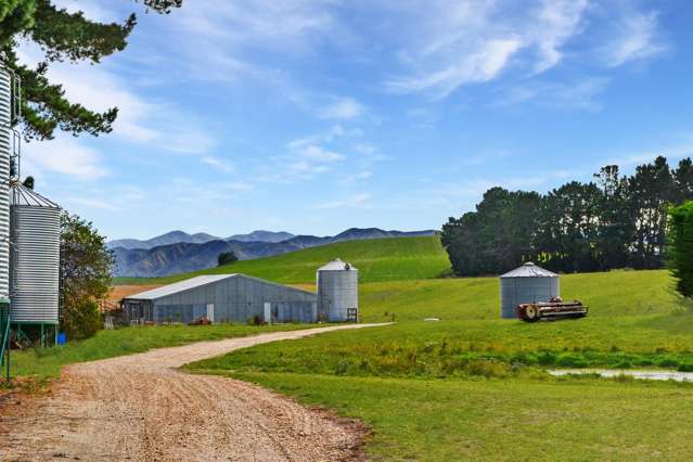 594 Tokarahi-Ngapara Road Ngapara_2