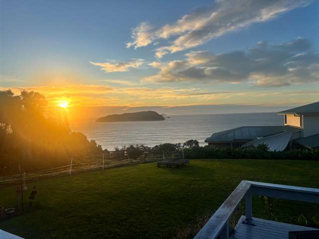 223 Paku Drive Tairua_3