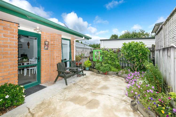 308b Bridgman Road Te Awamutu_3