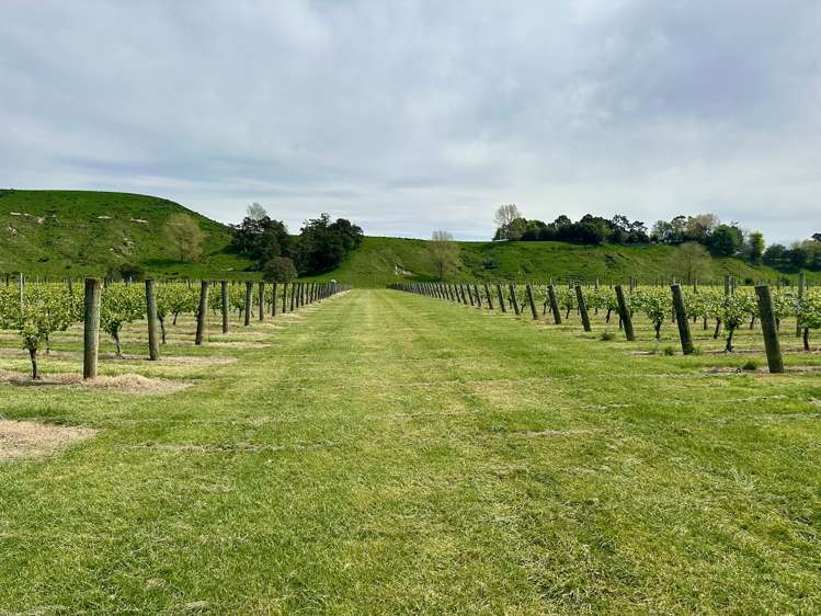 2057 Matawai Road Te Karaka_8