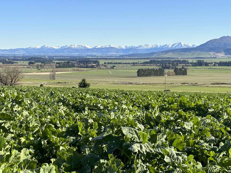 142 East Dome Station Road Lumsden Surrounds_21