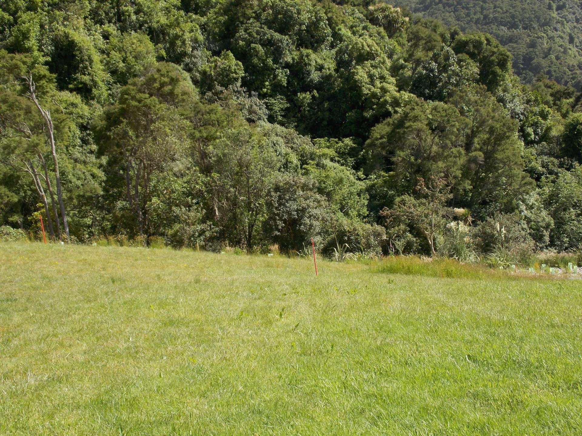 Blandswood Road Timaru_0