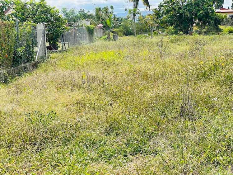 Lot 1 NAISOSOVU Nadi_8