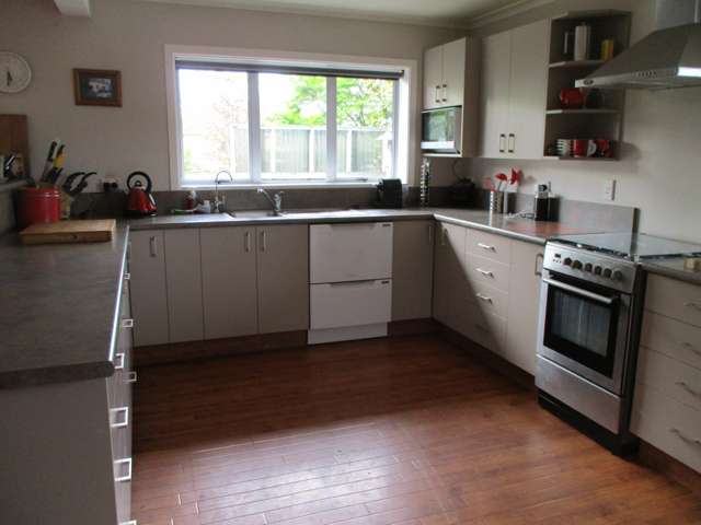 49 Frances Street Balclutha_1