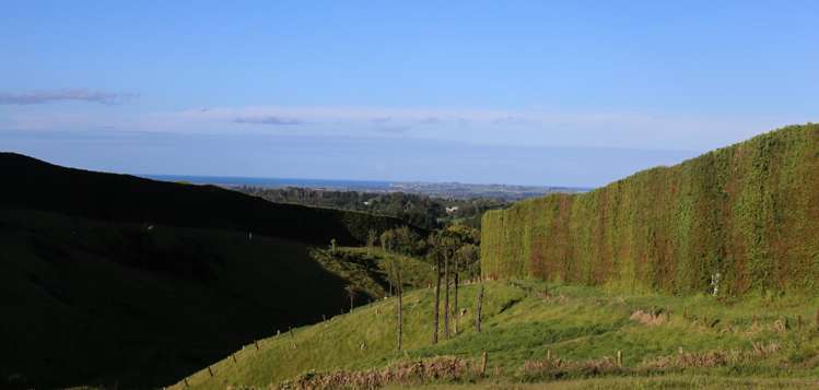 1042 Rangiuru Road_5