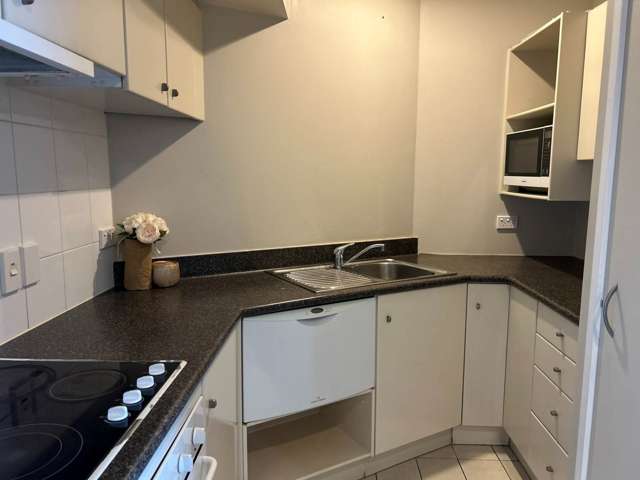 13e/1 Emily Place Auckland Central_3