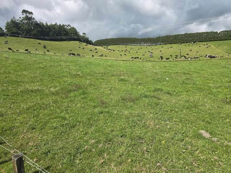 734 - 740 Bird Road Stratford_17