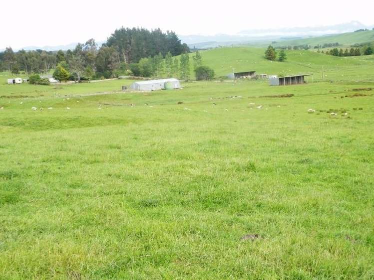 1011 Birchwood Wairio Road Birchwood_3