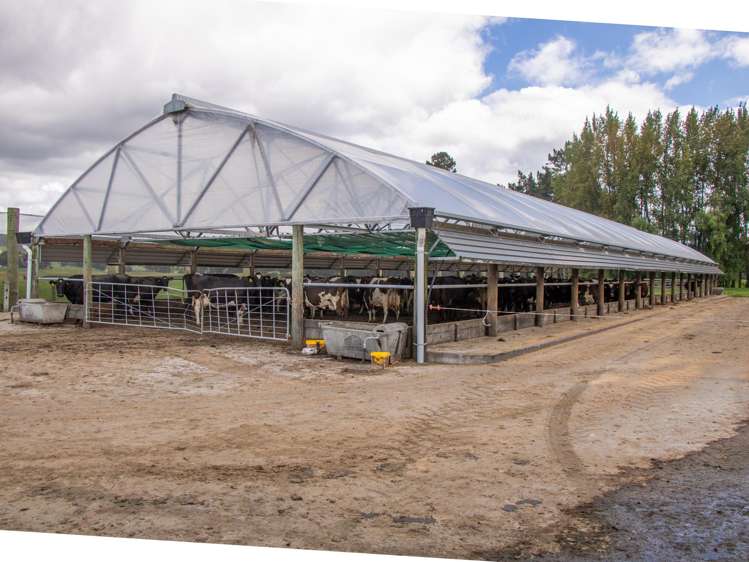 91 State Highway 30 Kinleith_9