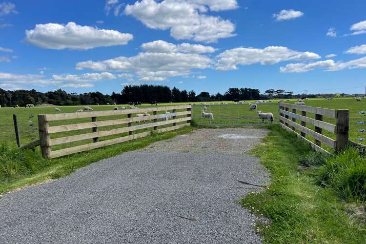 Mount Stewart Halcombe Road Sanson_5