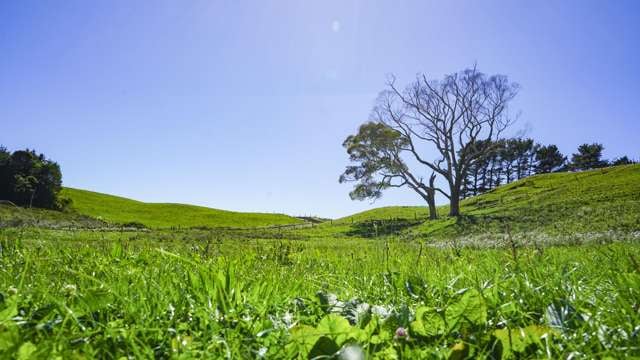 1158a Waihi-Whangamata Road Waihi_1