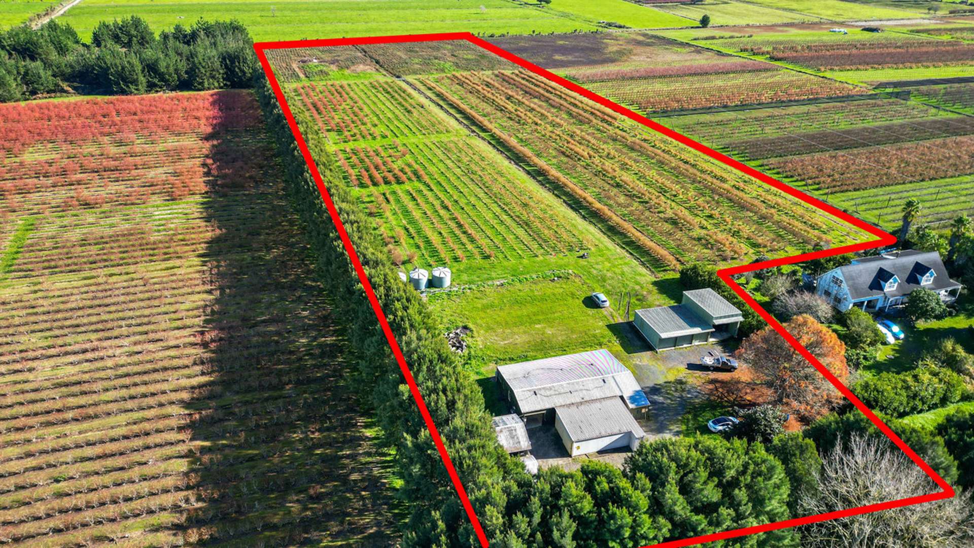 390 O'Regan Road Ngahinapouri Waipa Houses for Sale One Roof