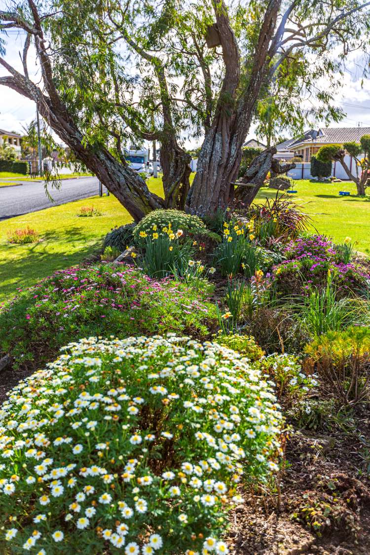 20 Rose Road Papatoetoe_25