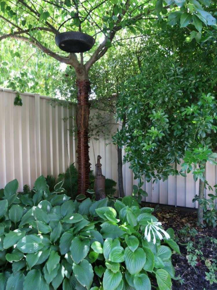 3 Achil Street Cromwell_15