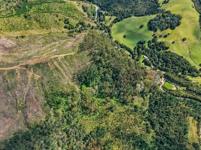 Lot 5 Fern Flat Road Peria_4