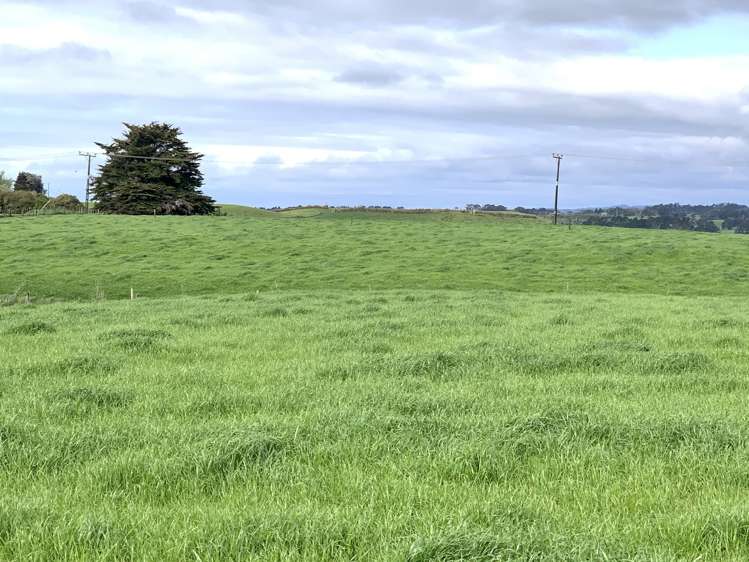 267 Waitara Road Waitara_12