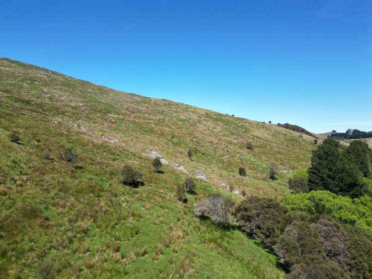 White Rock Road Martinborough_9