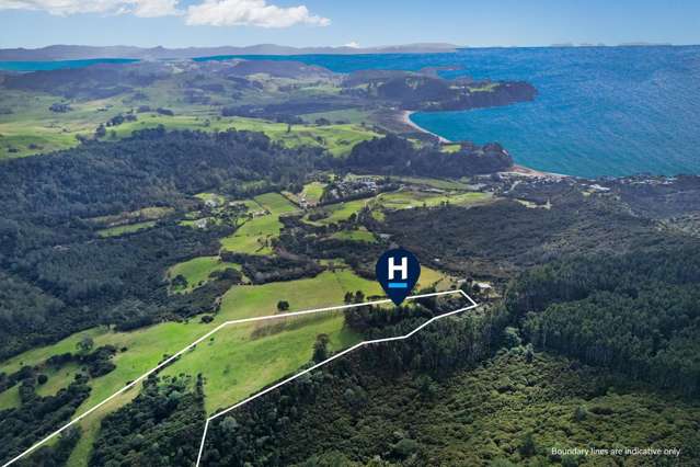 425n Boat Harbour Road Whenuakite_3
