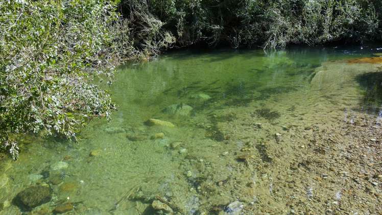 80 Hampson Place Hamurana_34