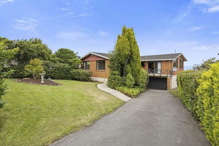 318A Highcliff Road Shiel Hill_21