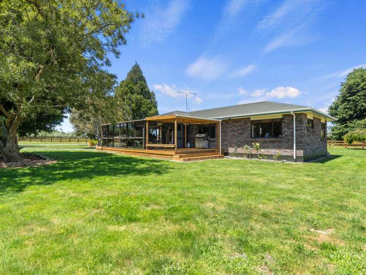 877 Frontier Road Pirongia_2