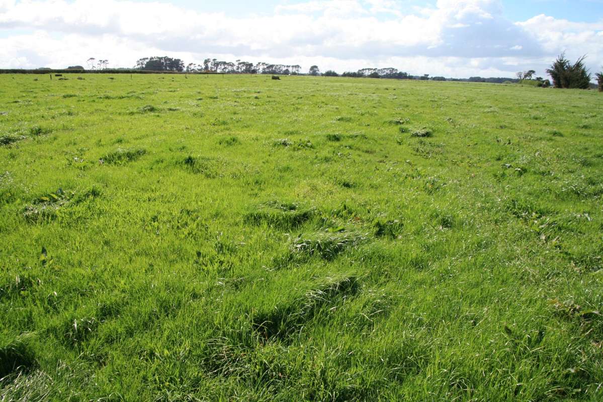 297 Mangawhero Road_1