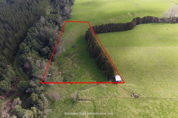 160 Mcwatt Road Waitakaruru_5