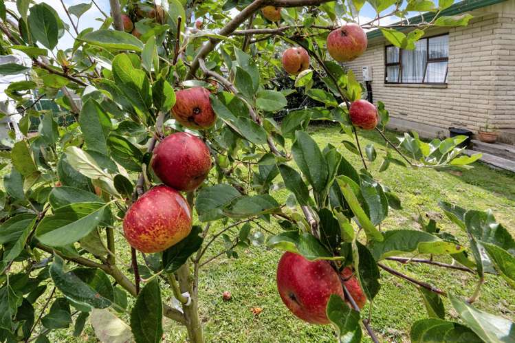 56 Bailey Street Huntly_31