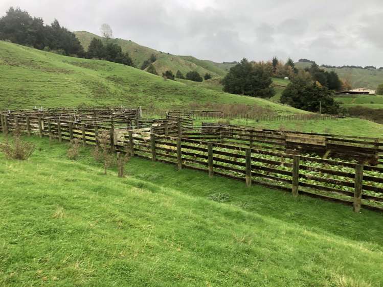 855 Okahukura Saddle Road Waimiha-Ongarue_12