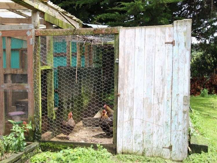 832 Makomako Road Pahiatua_18