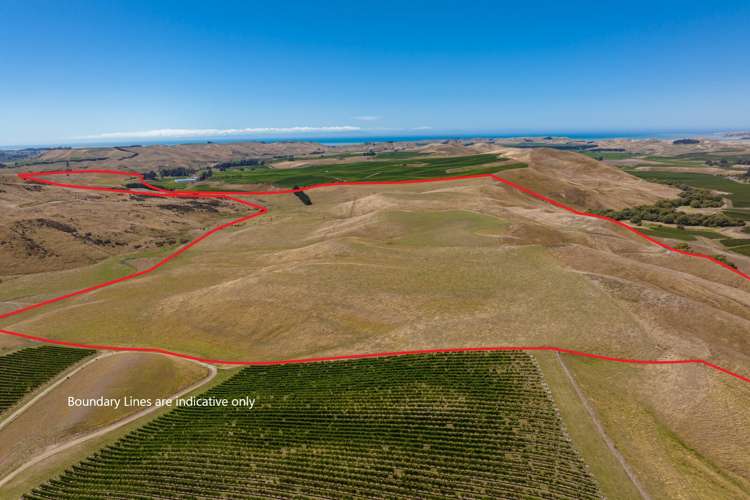 167 Marama Road Seddon_0