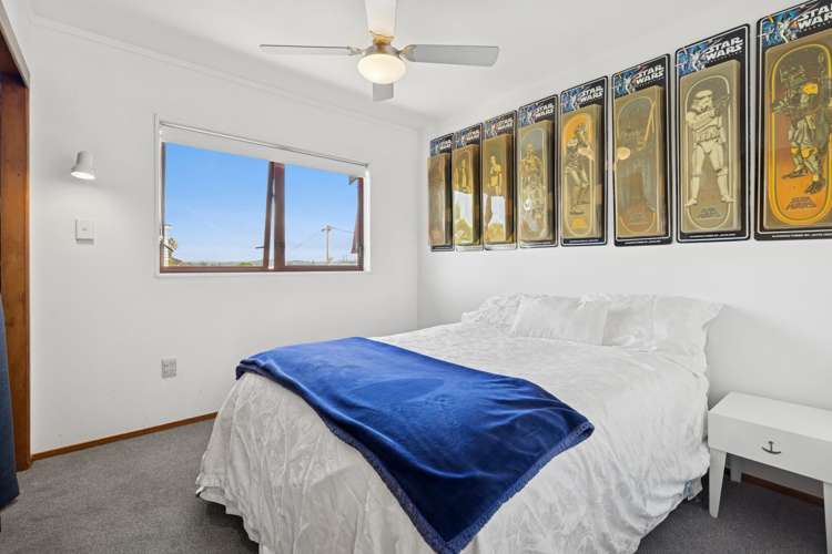 8a Wicklow Road Narrow Neck_15