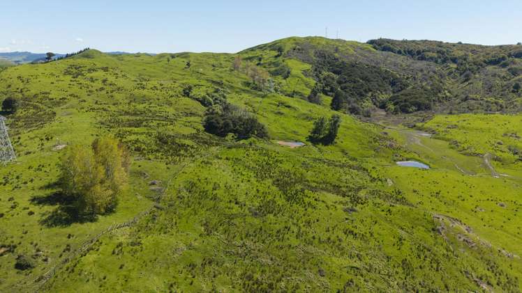 150 Waiomoko Road Whangara_32