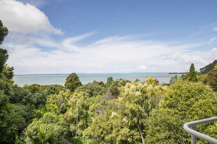 91 Cornwallis Road Cornwallis_2