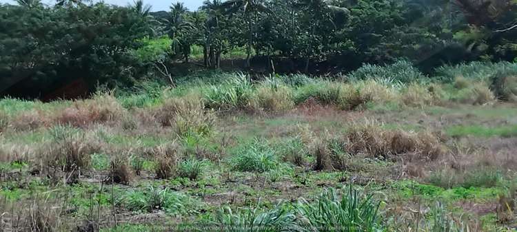 Address withheld Labasa_6