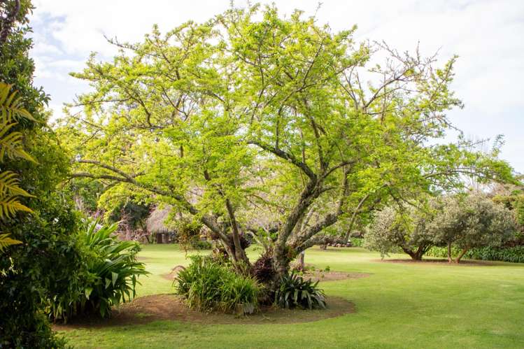 24 Mission Road Kerikeri_17