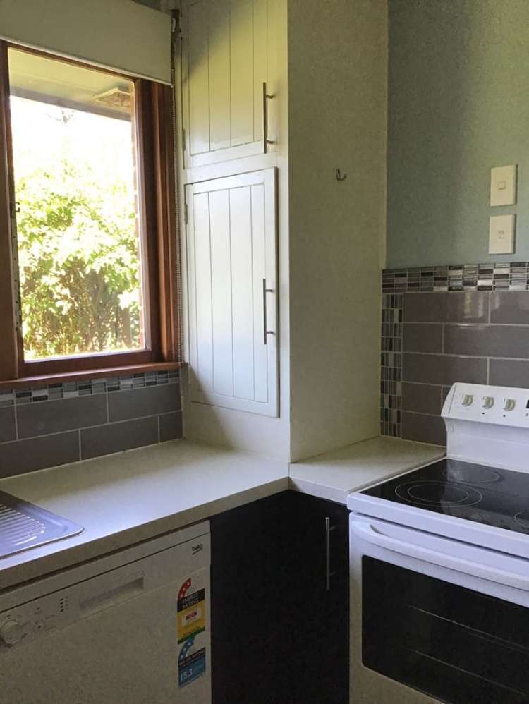 166 Toko Mouth Road Milton_13