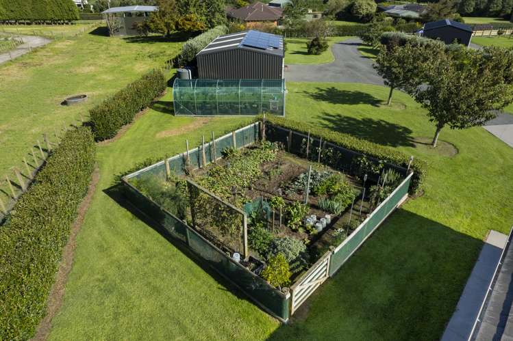 423c Youngson Road Whakamarama_20