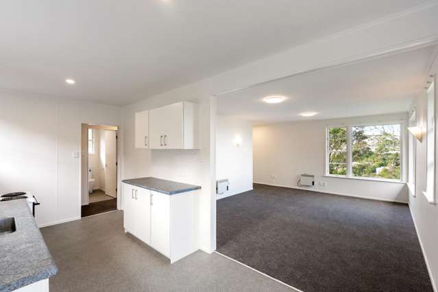 98 Ruskin Road Newlands_3
