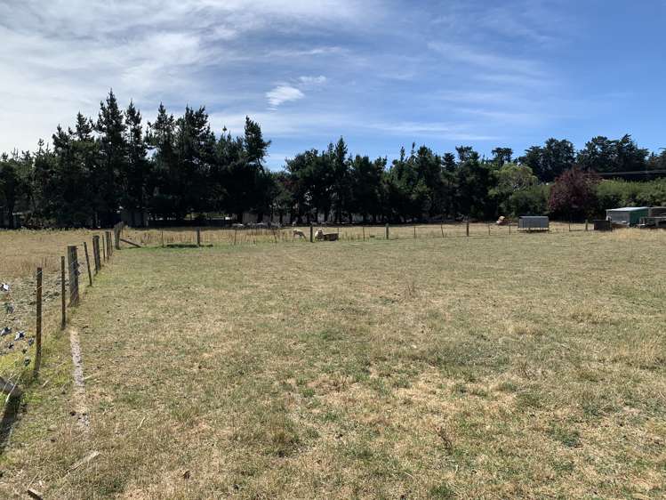 113 Ward Road Cheviot_3