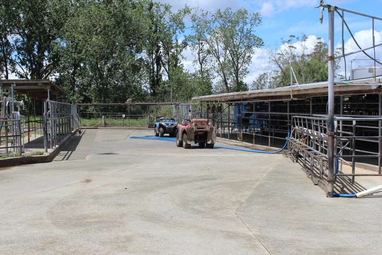 269 Kokopu Block Road Kokopu_6