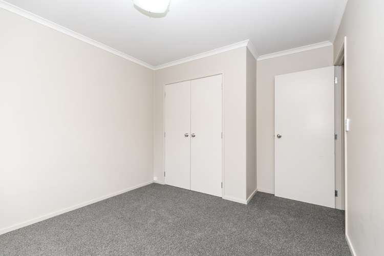 206 Daphne Street Te Awamutu_13