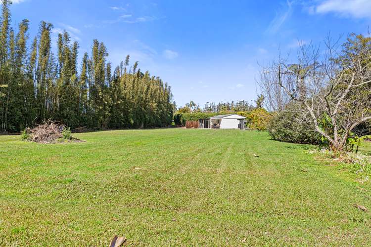 104B Moir Street Mangawhai_12